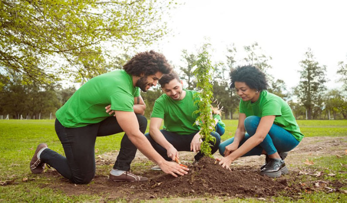 En SAHEZCO promovemos la sostenibilidad y el cuidado del medio ambiente a través de programas de reforestación, reciclaje, educación ambiental, energías limpias y protección del agua. Desarrollamos proyectos ecológicos, jornadas comunitarias y campañas de concienciación que impulsan un futuro más verde y responsable en República Dominicana.