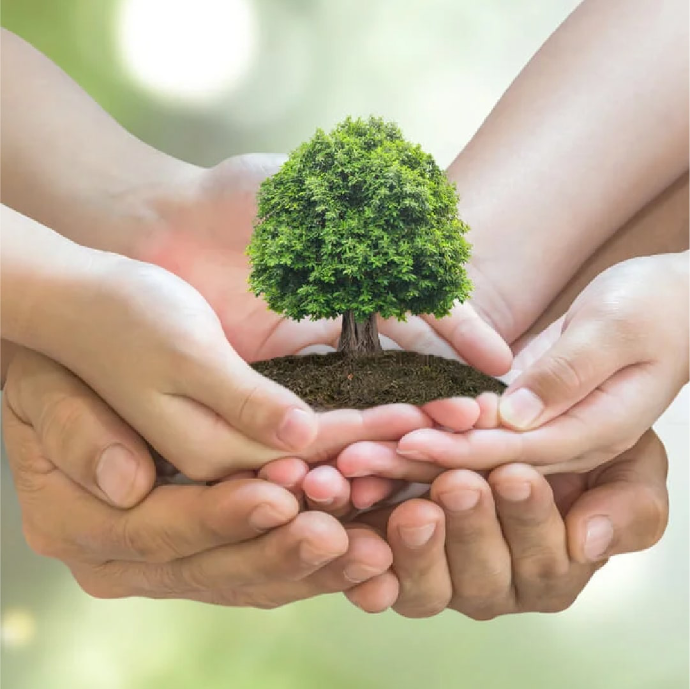 Nuestra estrategia de Alianzas y Responsabilidad Social está diseñada para crear sinergias entre empresas, instituciones, comunidades y organizaciones que comparten nuestra visión de un mundo más verde, justo y sostenible.