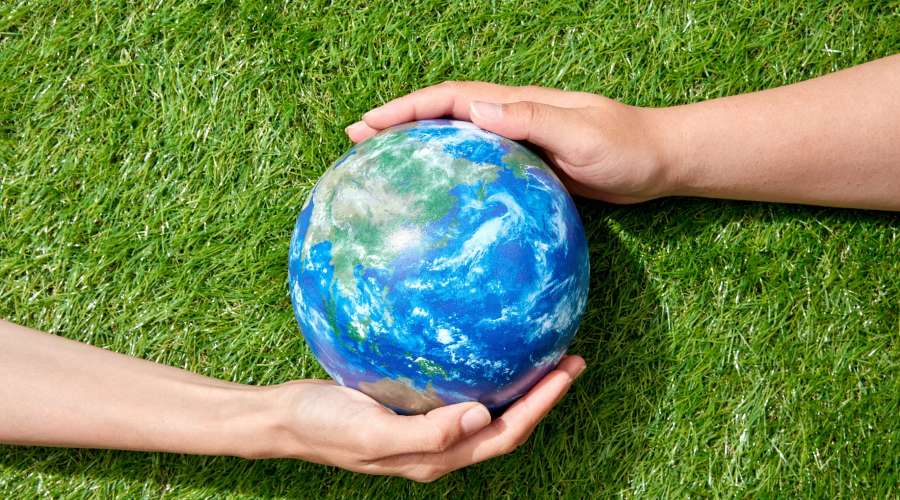 Cuidar el planeta es cuidar la vida